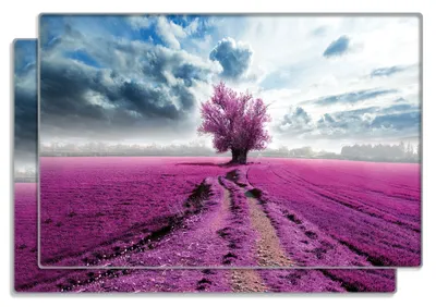 Produktbild von Wallario Frühstücksbrettchen 2er Set aus Glas, je 20 x 30 cm, mit rutschfesten Füßen, Motiv Surreales Blumenfeld  lila Blumen auf dem Feld