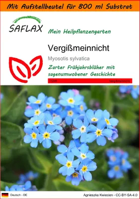 Produktbild von SAFLAX Garden in the bag - Vergißmeinnicht - Myosotis sylvatica - 150 Samen - Mit Anzuchtsubstrat im praktischen, selbst aufstellenden Beutel
