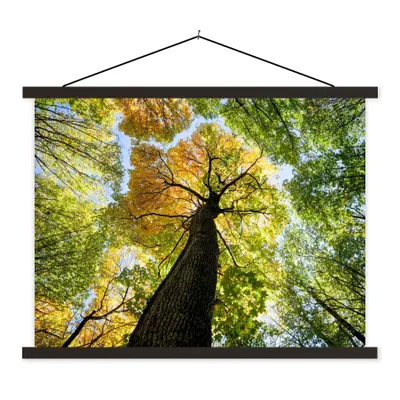 Produktbild von MuchoWow® Textilposter Baum - Natur - Wald 150x113 cm mit schwarzem Rahmen - Wohnzimmer