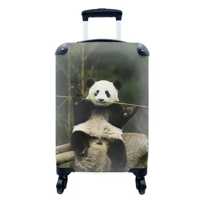 Produktbild von MuchoWow® Koffer Handgepäck Trolley Rollkoffer Kleine Reisekoffer mit 4 Rollen - Panda - Bambus - Wald - Cabin Size < 55x40x23 cm & 55x40x20 cm - Fotokoffer - Kabinenkoffer - Boardgepäck - Reise-Box - Reisekoffer - Reisegepäck - Koffer mit Bild - Trolley für Kinder