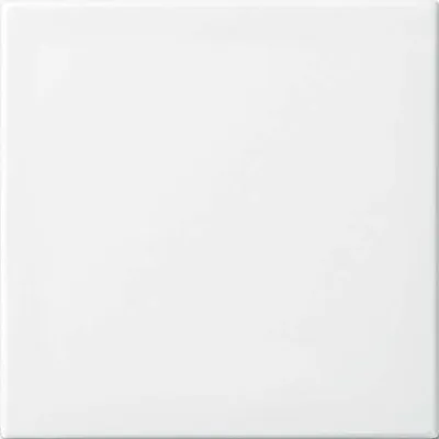Produktbild von Busch-Jaeger Wippe aws Busch-balance SI 2506-914