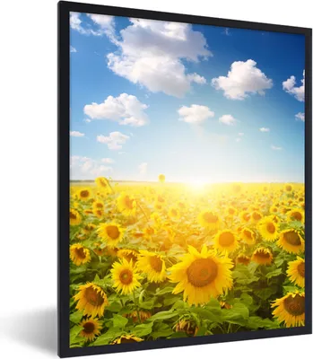Produktbild von MuchoWow® Gerahmtes Poster Sonnenblume - Sonne - Wolken 60x80 cm - Poster mit Schwarzem Bilderrahmen Wandposter Rahmen Foto Bilder - Premium - Wanddeko Wohnzimmer