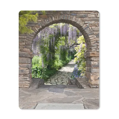 Produktbild von MuchoWow® Mauspad Mousepad Wald - Aussicht - Steine - Weg 30x40 cm - Mousepads - Maus Mat - Pad - Mausunterlage - Mausmatten