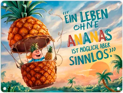 Produktbild von Ananas-Heißluftballon Metallschild in 15x20 cm mit Spruch Leben ohne Ananas