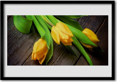 Produktbild von Bild 70x50 MDF-Rahmen Wandkunst Tulpen Blumen