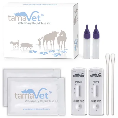 A veterinary rapid test kit for parvovirus, including test cassettes, vials, and swabs, presented with its packaging.