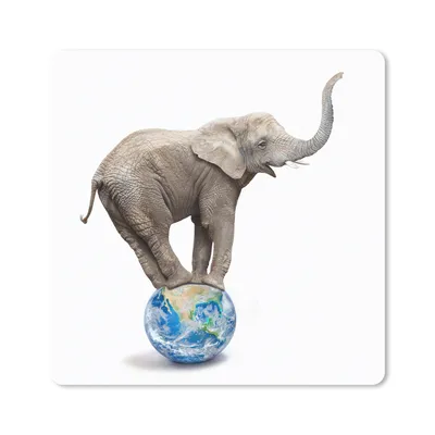 Produktbild von MuchoWow® Mauspad Mousepad Elefant - Globus - Weiß 30x30 cm - Mousepads - Maus Mat - Pad - Mausunterlage - Gaming