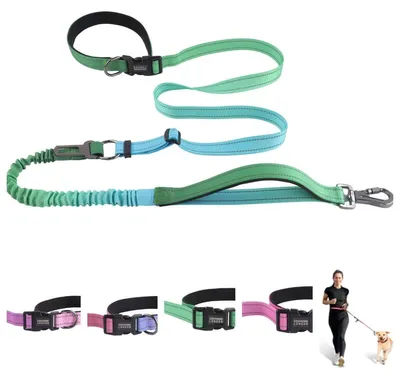 Handsfree Hundeleine, Anti-Zug, Bungee, Limette, 12-15 cm
