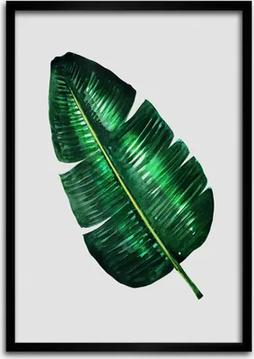 Produktbild von Bild - Bilderrahmen - Foto - 70 cm x 100 cm - MDF - Rahmen - Wandkunst - Bananenblatt
