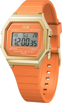 Image de Montres ICE 022052