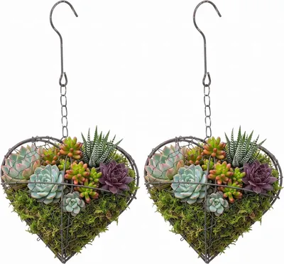 Produktbild von 2 herzförmige Hängekörbe aus Eisen für Sukkulenten und Luftpflanzen, hängende Herzdekoration für Garten, Balkon und Innenbereich, Silber, 21.00 X 20.00 X 10.00 cm