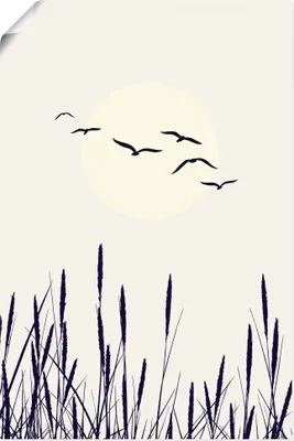 Produktbild von ARTland Poster Schatten der Sonne Größe: 80x120 cm