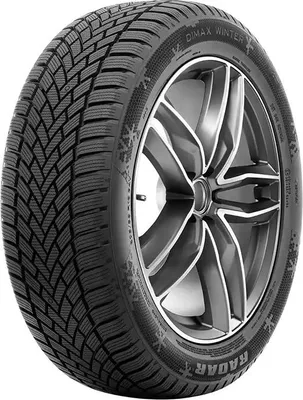 Produktbild von Radar Dimax Winter 195/65R15 91T Bsw