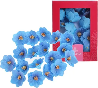 Produktbild von HORTENSION Waffelbeere 18pc Blume für die Dekoration von Torten und Gebäck