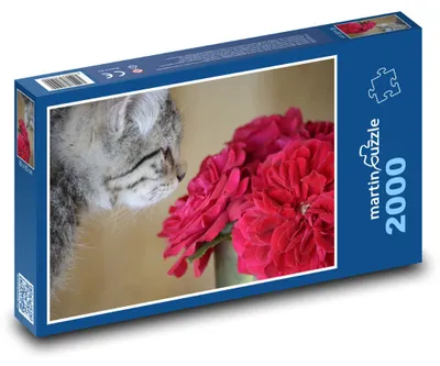 Obrázek produktu pro Puzzle 2000 Kočka a červené květiny - martinpuzzle