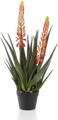 Produktbild von Emerald Künstliche Aloe mit 2 Blumen 80 cm im Topf