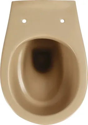 Produktbild von Wand-WC Tiefspüler ohne Spülrand beige matt ohne WC-Sitz 1280627