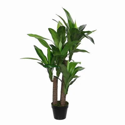 Produktbild von Kunstpflanze Dracaena Mica Decorations H 95 cm Ø 60 cm grün