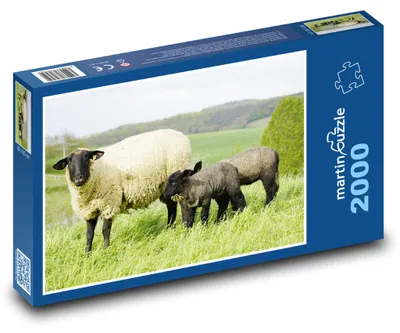 Zdjęcie produktu dla Puzzle 2000 Owce na łące - martinpuzzle