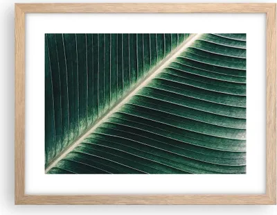 Produktbild von Gerahmtes Poster - Rahmen in heller Eiche - Grün Blatt Tropisch - 40x30 cm - Wand Bild - Wanddeko - Wandbilder - Wandposter - Bilderrahmen - Bilder - Kunstdruck - Wandbild - P2NAA40x30-4126