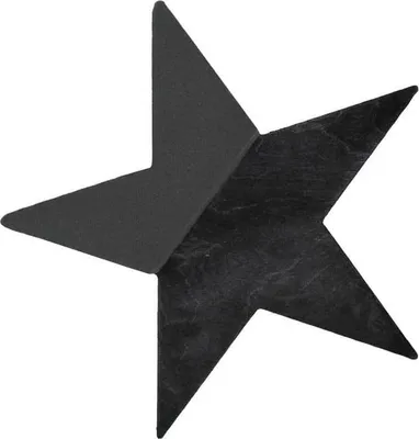 Produktbild von OASIS® Black Ideal Nass-Steckschaum Stern THARA, Bioline Holzunterlage, schwarz, 30x29x4,5cm - Nasssteckmasse