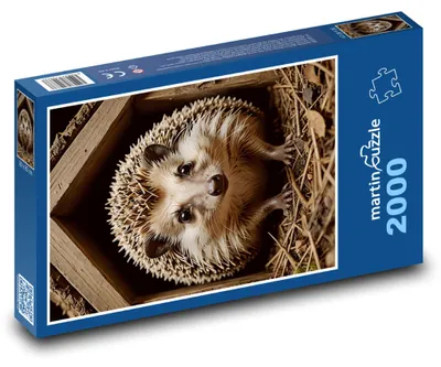 Zdjęcie produktu dla Puzzle 2000 Jeż w domku - martinpuzzle