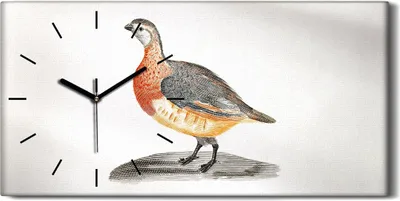 Produktbild von Leinwand Wanduhr Wandkunst Uhr Geräuschlos 60x30 Zeichnung Tier Vogel Kunst - schwarze Hände