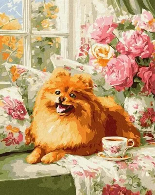 Immagine prodotto di Dipingere con i numeri - Il profumo della felicità 40x50 cm - Ideyka