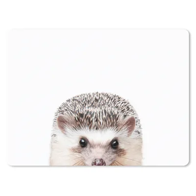 Produktbild von MuchoWow® Mauspad Mousepad Igel - Tiere - Natur - Weiß 23x19 cm - Mousepads - Maus Mat - Pad - Mausunterlage - Schreibtischunterlage - Mauspad
