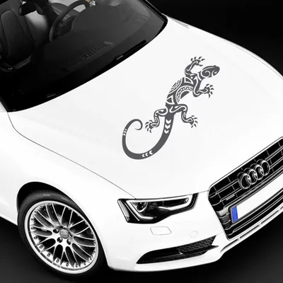 Produktbild von Aufkleber - Autoaufkleber "Abstrakt Gekko" 60cm x 25cm dunkelgrau - Tuning Carystyling Heckscheibe Auto