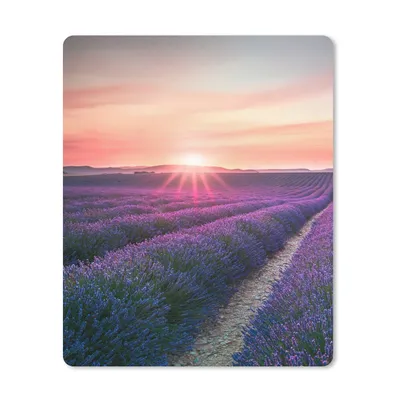 Produktbild von MuchoWow® Mauspad Mousepad Lavendel - Lila - Blumen - Himmel 19x23 cm - Mousepads - Maus Mat - Pad - Mausunterlage - Mauspads - Spielen