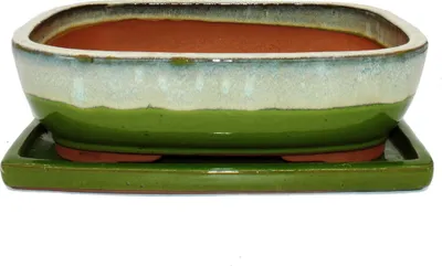 Image de bonsai bol avec soucoupe Gr. 6 - Vert-beige - rectangulaire - Modèle gb5 - l 37cm - l 28cm - h 10cm