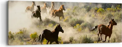 Produktbild von Bild auf Leinwand - Leinwandbild - Cowboy Cowgirl Pferd - 90x30cm - Wand Bild - Wanddeko - Leinwanddruck - Bilder - Kunstdruck - Wanddekoration - Leinwand bilder - Wandkunst - AB90x30-2201