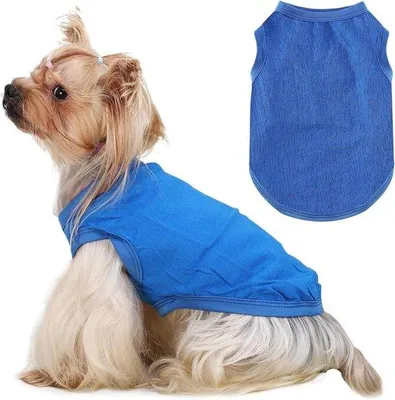 Produktbild von Kleiner Hundekühler, blauer, L