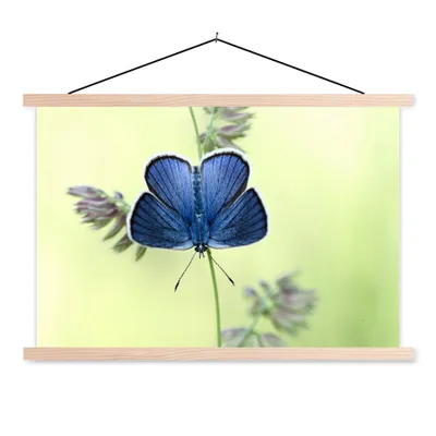 Produktbild von MuchoWow® Textilposter Blauer Schmetterling 60x40 cm mit holzfarbenen Rahmen - Bilder