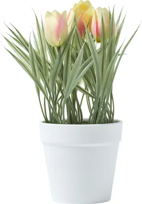 Image de HOMESCAPES Fleurs artificielles Tulipes en pot blanc 22 cm de haut, roses