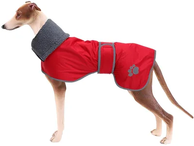 Imagen del producto de Elzusha - Abrigo de invierno cálido para perros - Chaqueta impermeable para galgos con forro interior de lana suave
