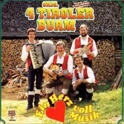 Produktbild von Ein Herz Voll Musik