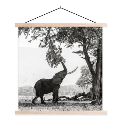 Produktbild von MuchoWow® Textilposter Elefant - Baum - Tiere - Schwarz und weiß 60x60 cm mit holzfarbenen Rahmen - Wanddekoration
