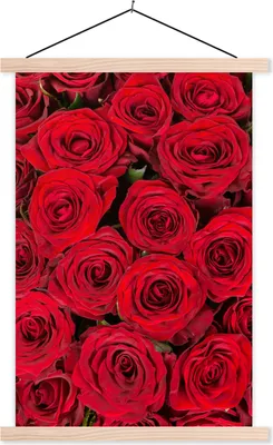 Produktbild von MuchoWow® Textilposter Rosen - Blumen - Blumenstrauß 120x180 cm mit holzfarbenen Rahmen - Textil-Plakat