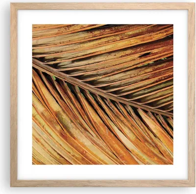 Produktbild von Gerahmtes Poster - Rahmen in heller Eiche - Orange Blatt Tropisch - 40x40 cm - Wand Bild - Wanddeko - Wandbilder - Kunstposter - Wandposter - Bilderrahmen - Bilder - Kunstdruck - P2NAC40x40-4876
