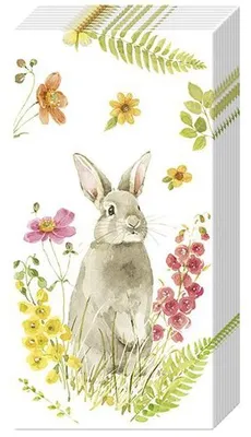 Produktbild von Papiertaschentücher "Hoppelhase im Frühling"