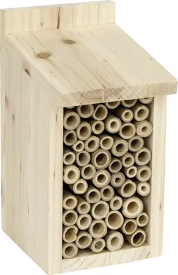Produktbild von CJ Wildlife Insektenhaus Santiago natur 19 x 10 x 11 cm