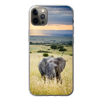 Produktbild von MuchoWow® Handyhülle Schutzhülle Hülle für iPhone 12 Pro Max Elefant - Tiere - Landschaft - Sonne - Natur Silikon Softcase Handy Hülle - Hartschale