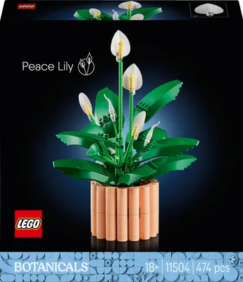 Produktbild von Lego Botanicals 11504 Dekoratives Einblatt-Set-474 Teile 30 cm 25 cm 22 cm