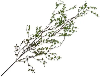 Produktbild von Künstliche Zimmerpflanze von Silk-ka (hängend), Sukkulente, Grün, 134 cm