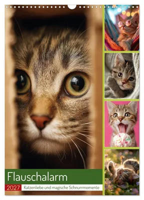 Produktbild von Flauschalarm (Wandkalender 2027 DIN A3 hoch), CALVENDO Monatskalender