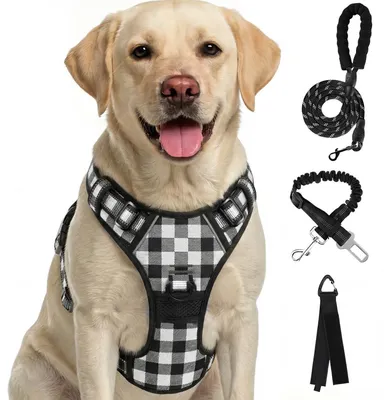 Immagine prodotto di Imbracatura per cani senza guinzaglio, riflettente, colore nero, taglia S