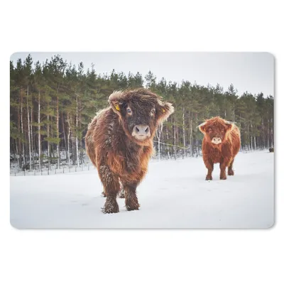 Produktbild von MuchoWow® Schreibtischunterlage Schottische Highlander - Schnee - Kühe 60x40 cm - XXL Mauspad - Großes Mauspad