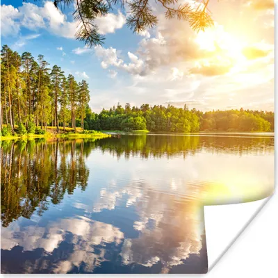 Produktbild von MuchoWow® Poster Tropisch - Bäume - Wasser 100x100 cm - Babyzimmer